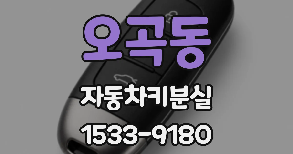 오곡동 자동차키분실
