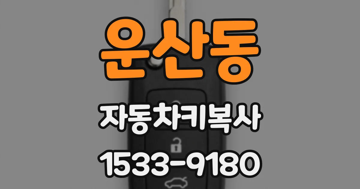 운산동 자동차키복사