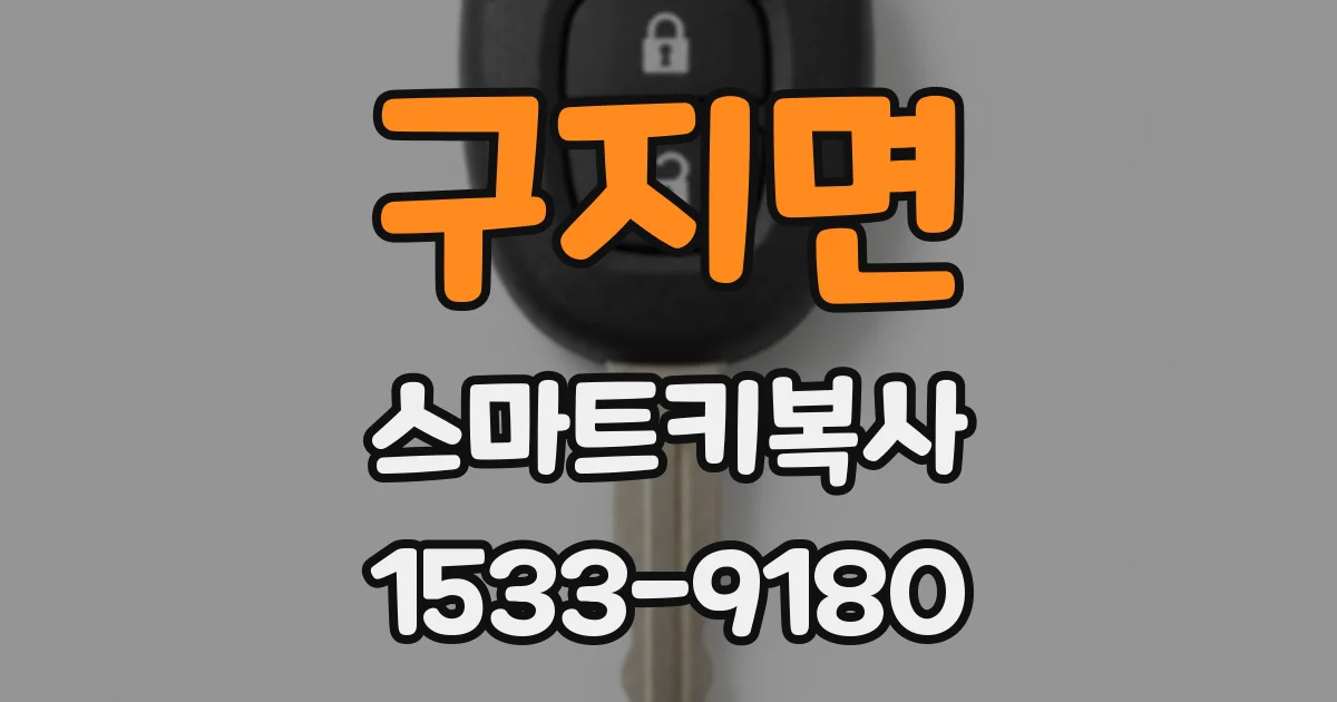 구지면 스마트키복사