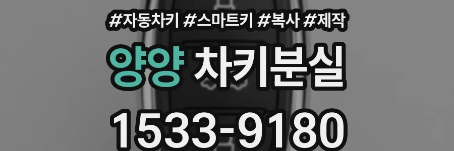 양양 차키분실