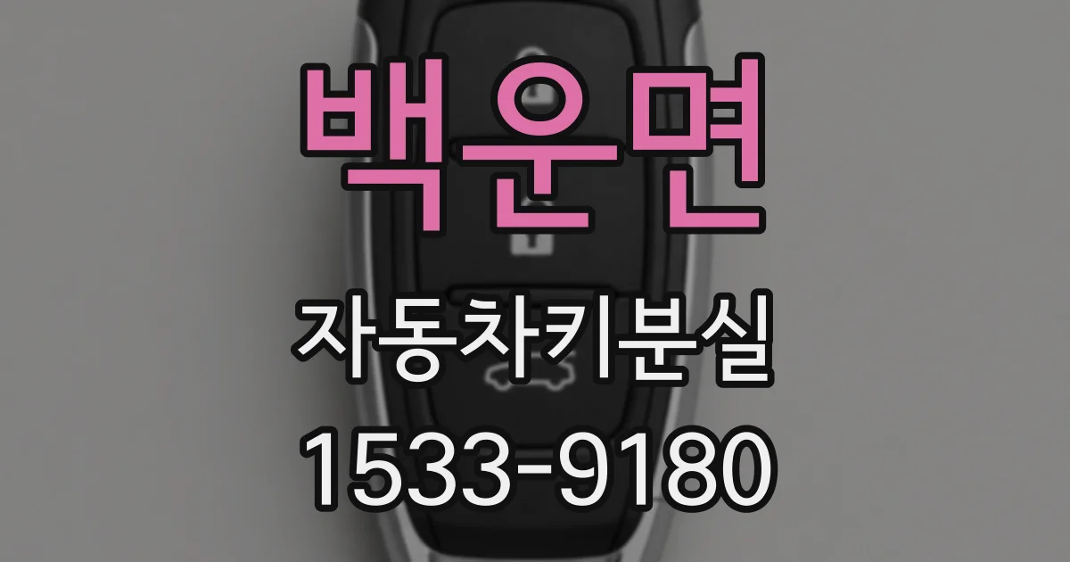 백운면 자동차키분실