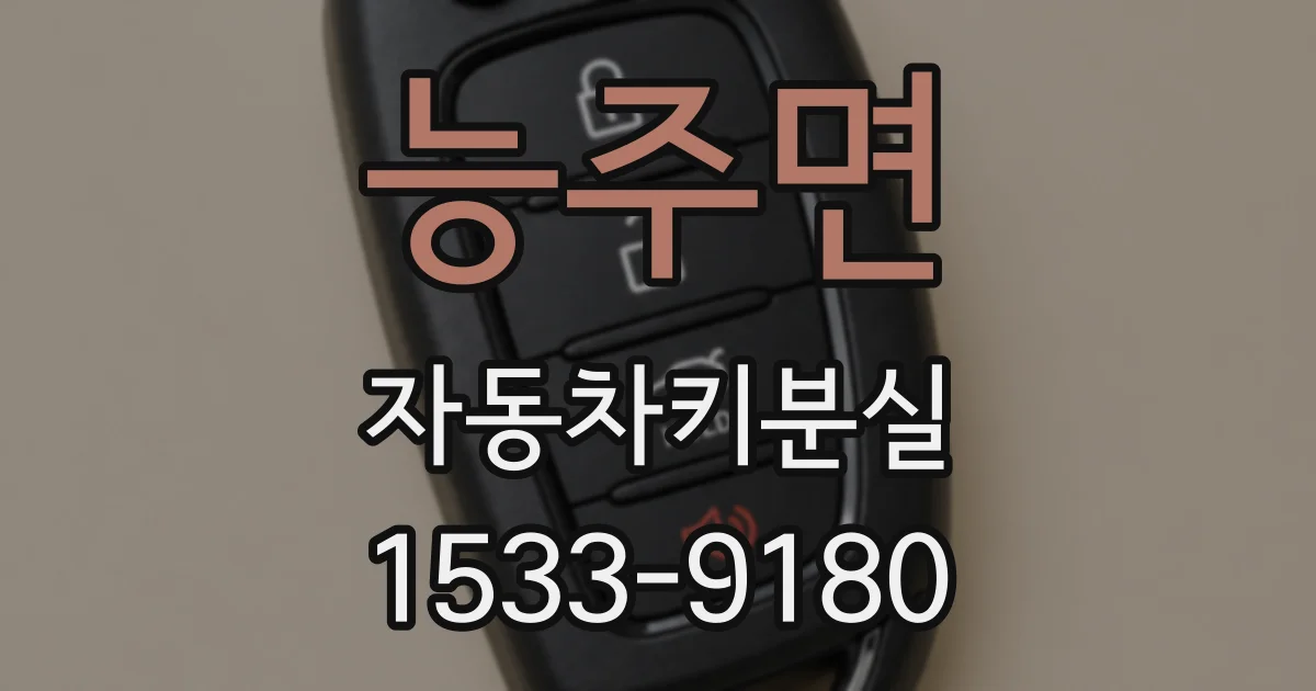 능주면 자동차키분실