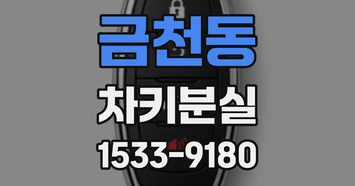 금천동 차키분실