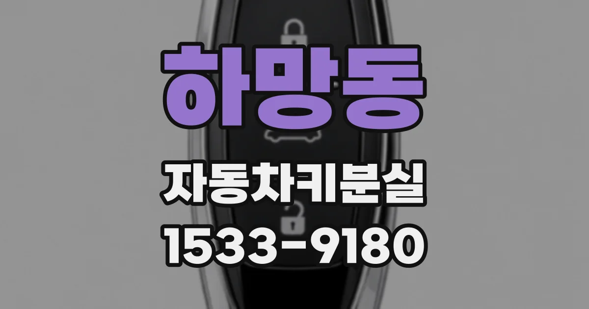 하망동 자동차키분실
