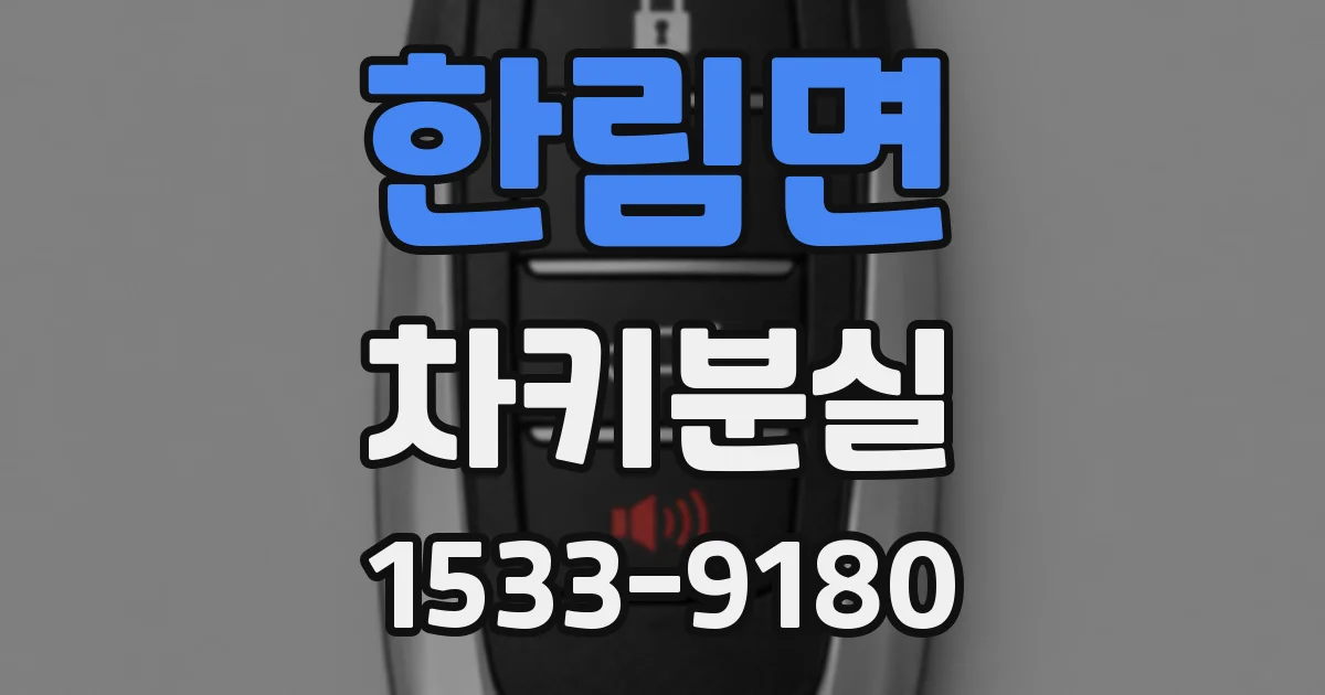 한림면 차키분실