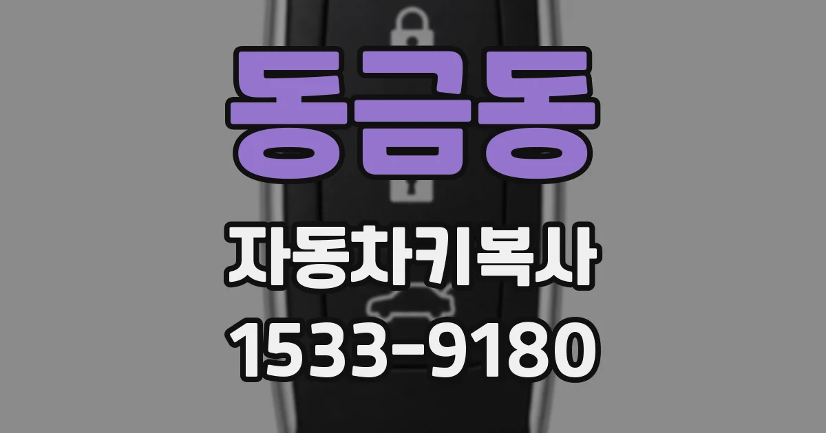 동금동 자동차키복사