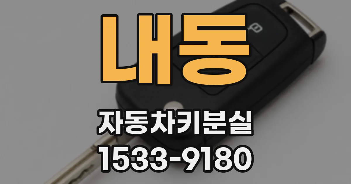 내동 자동차키분실