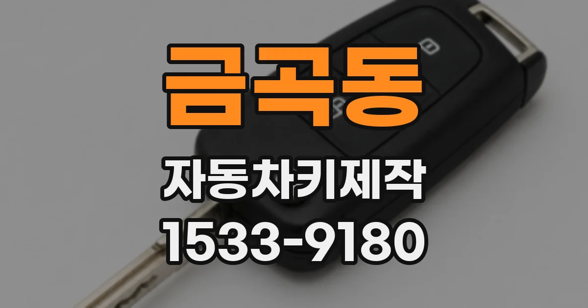 금곡동 자동차키제작