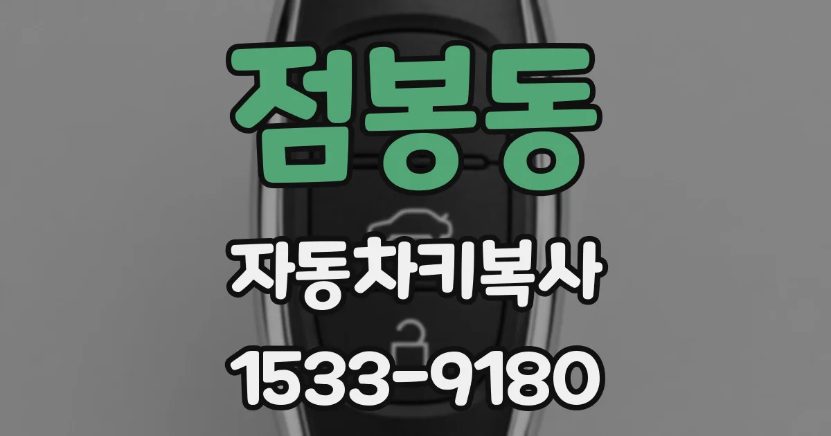 점봉동 자동차키복사