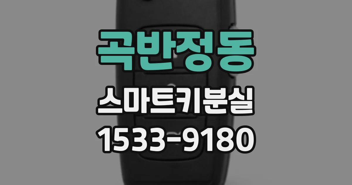 곡반정동 스마트키분실