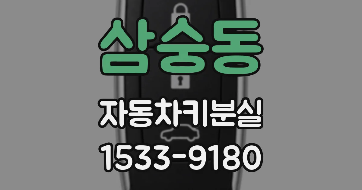 삼숭동 자동차키분실