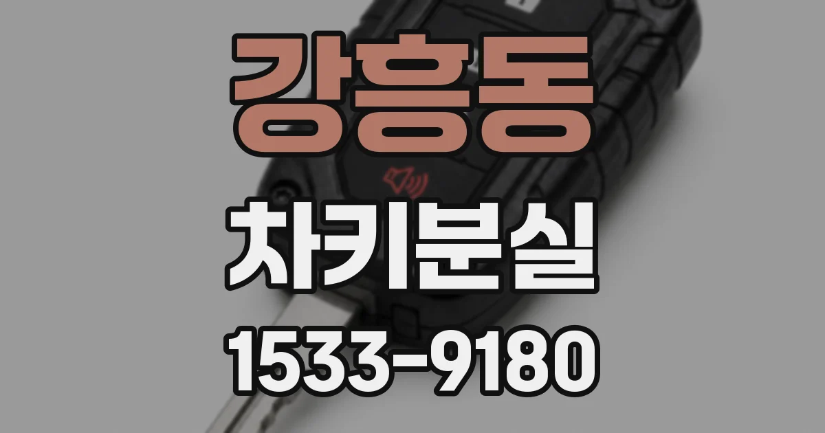 강흥동 차키분실