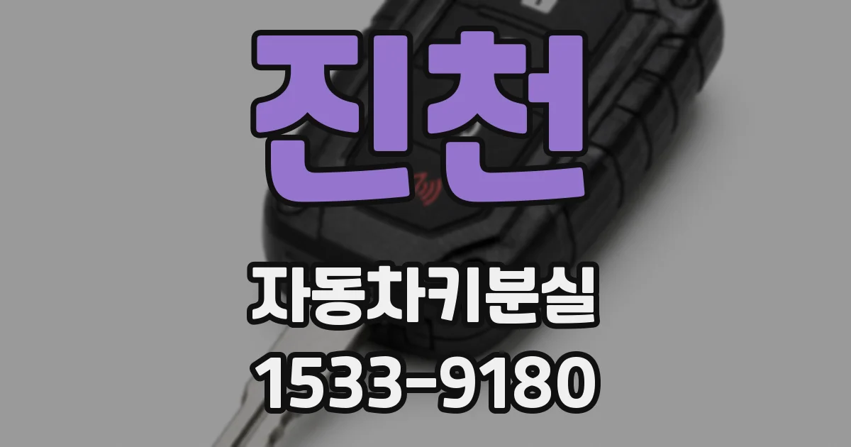 진천 자동차키분실