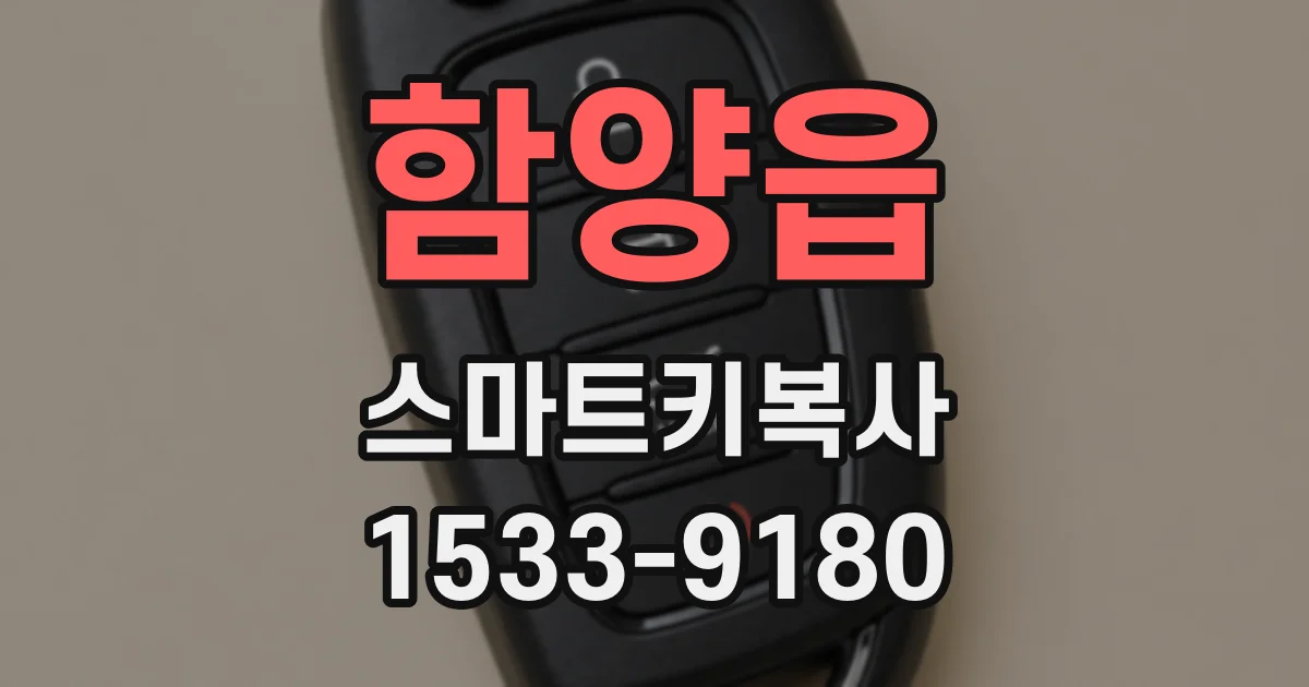 함양읍 스마트키복사