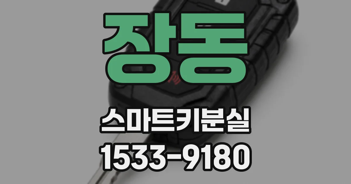 장동 스마트키분실