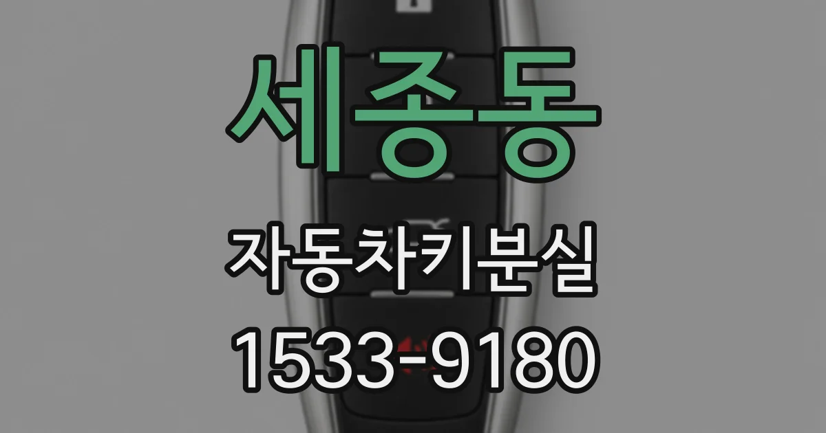 세종동 자동차키분실