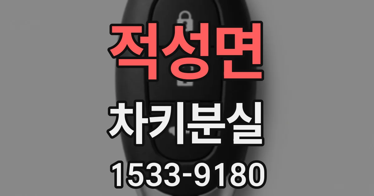 적성면 차키분실