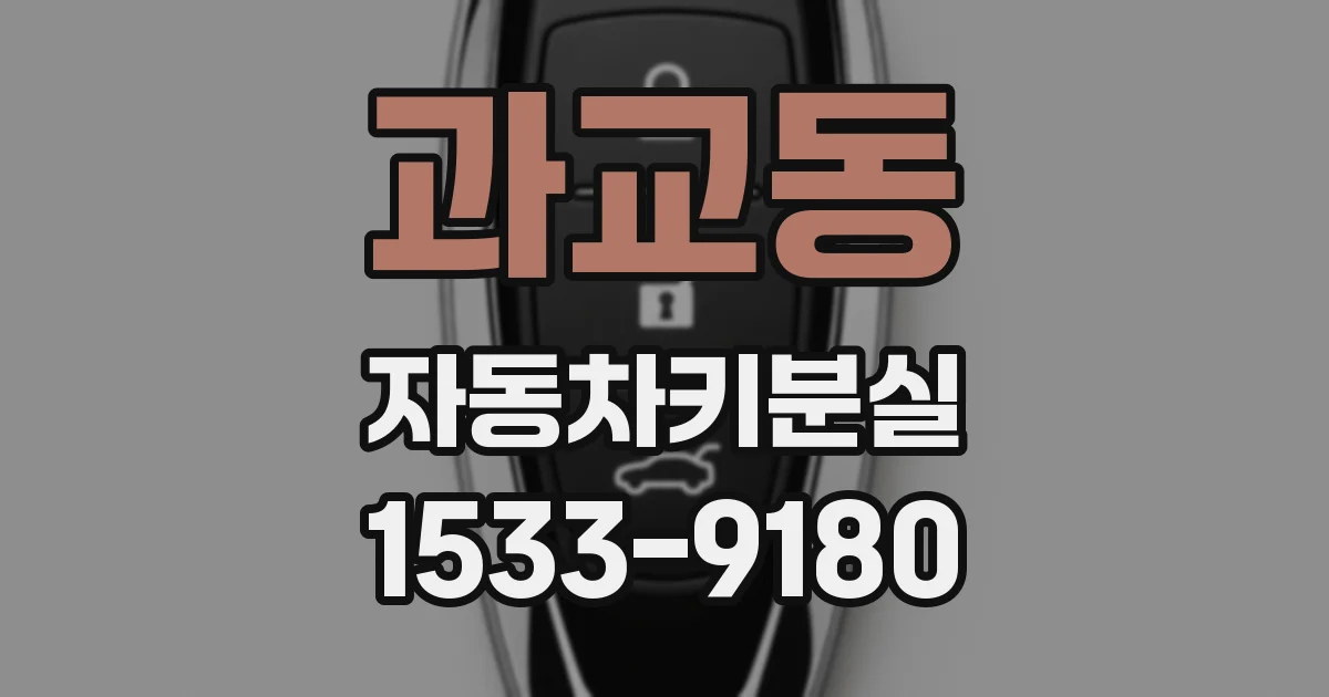 과교동 자동차키분실