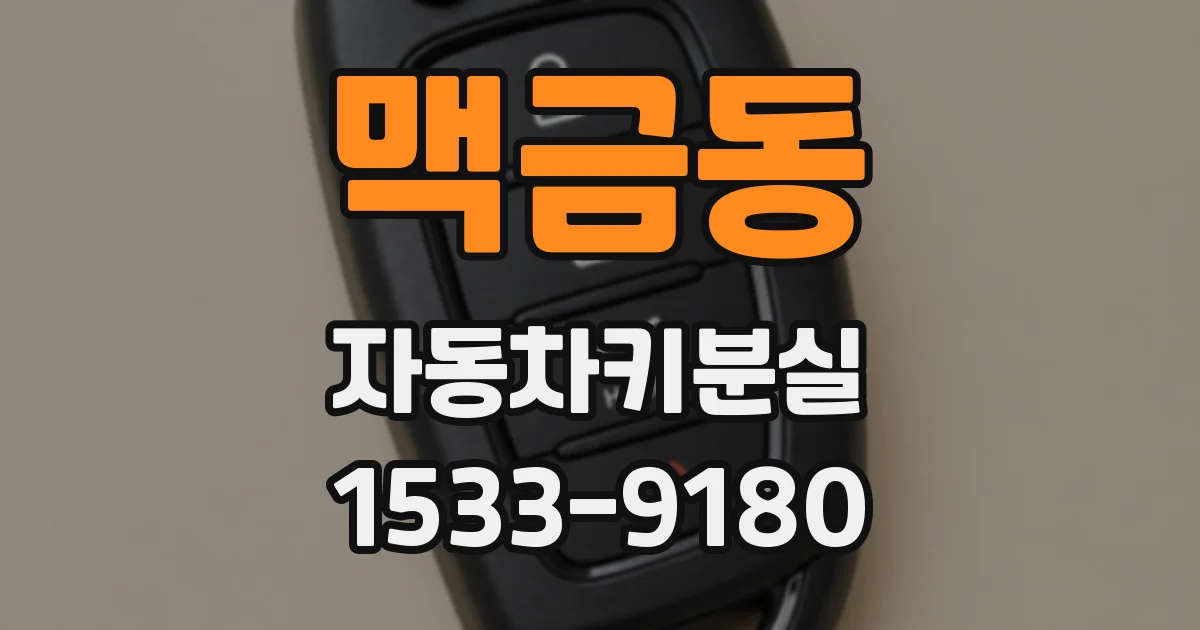 맥금동 자동차키분실