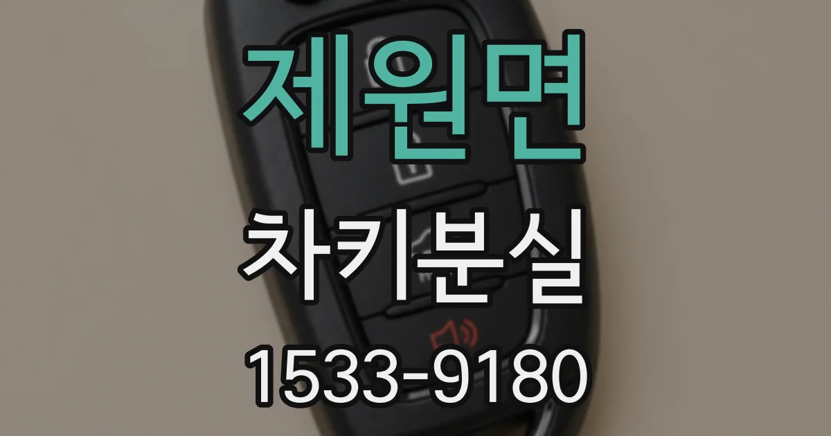 제원면 차키분실