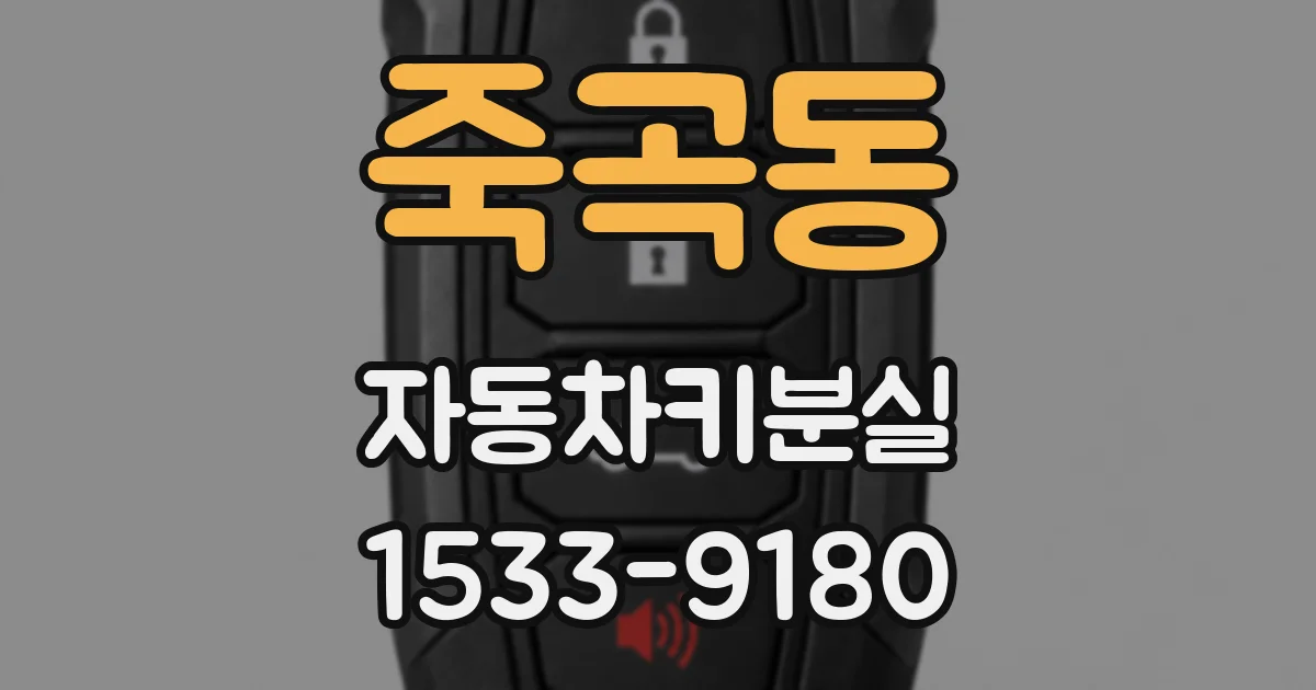 죽곡동 자동차키분실