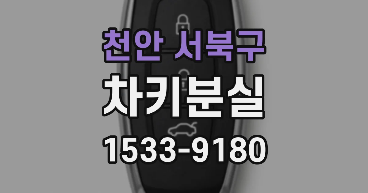 천안 서북구 차키분실