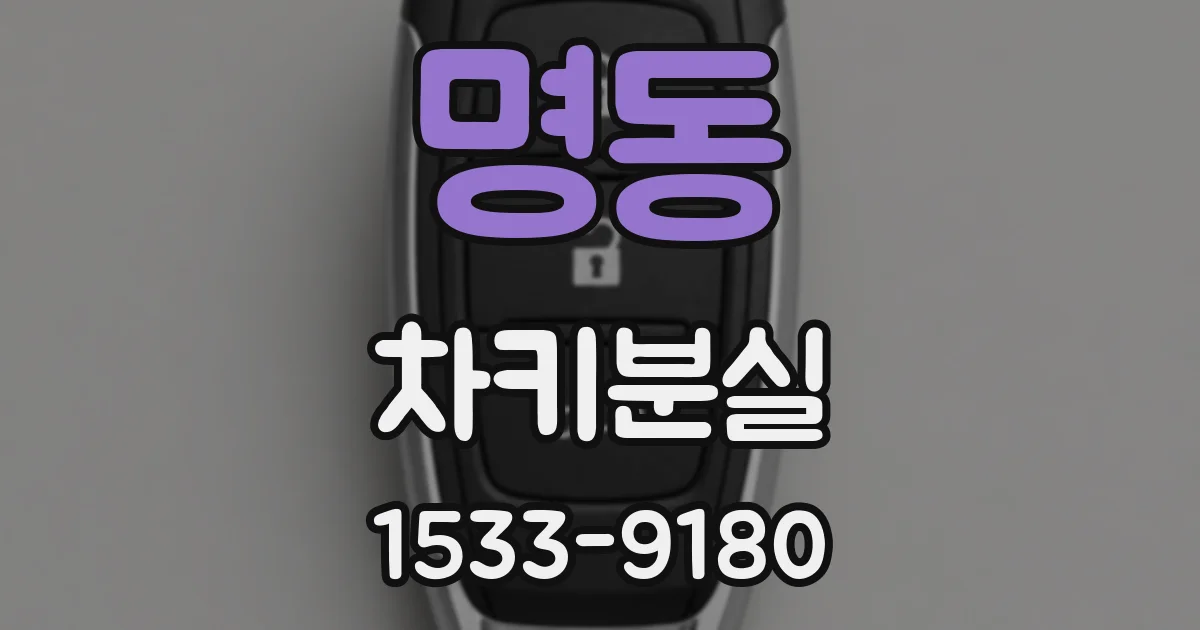 명동 차키분실