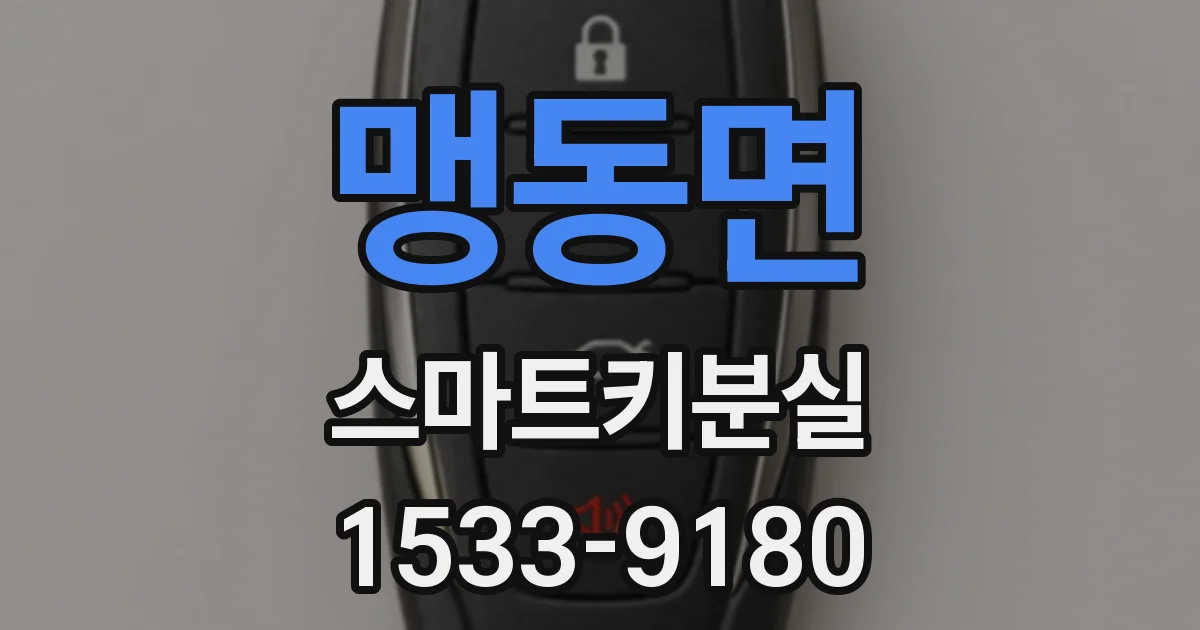 맹동면 스마트키분실