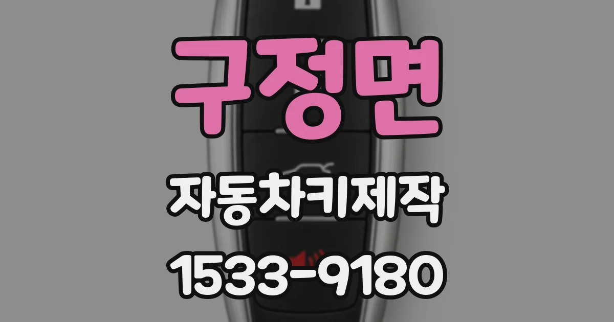 구정면 자동차키제작