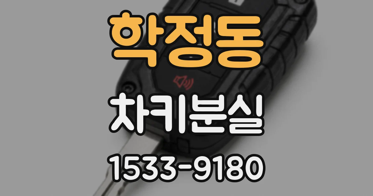 학정동 차키분실