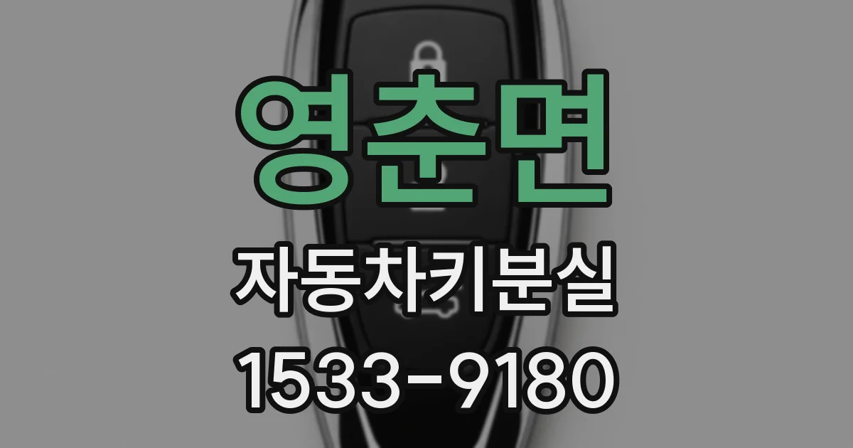 영춘면 자동차키분실