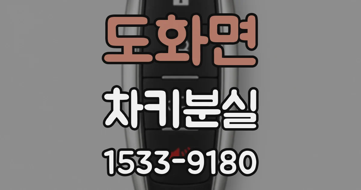 도화면 차키분실