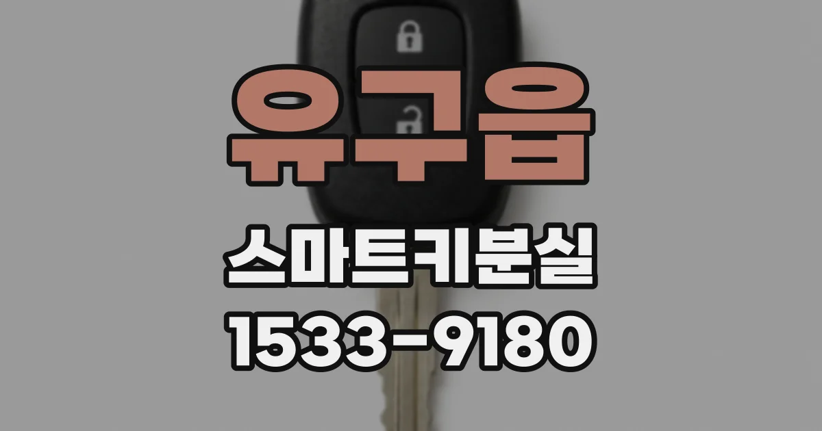 유구읍 스마트키분실
