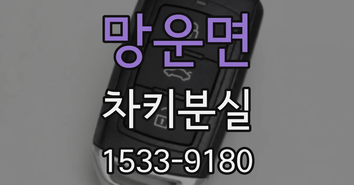 망운면 차키분실