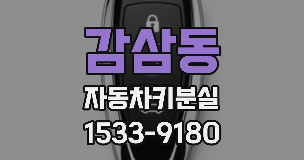 감삼동 자동차키분실