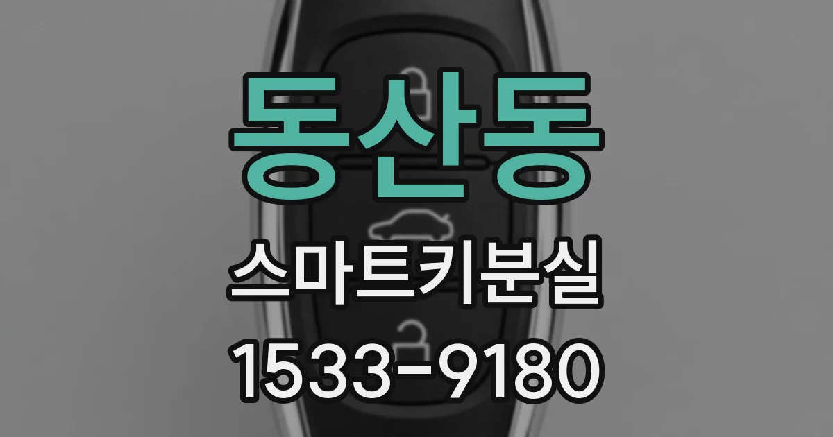 동산동 스마트키분실