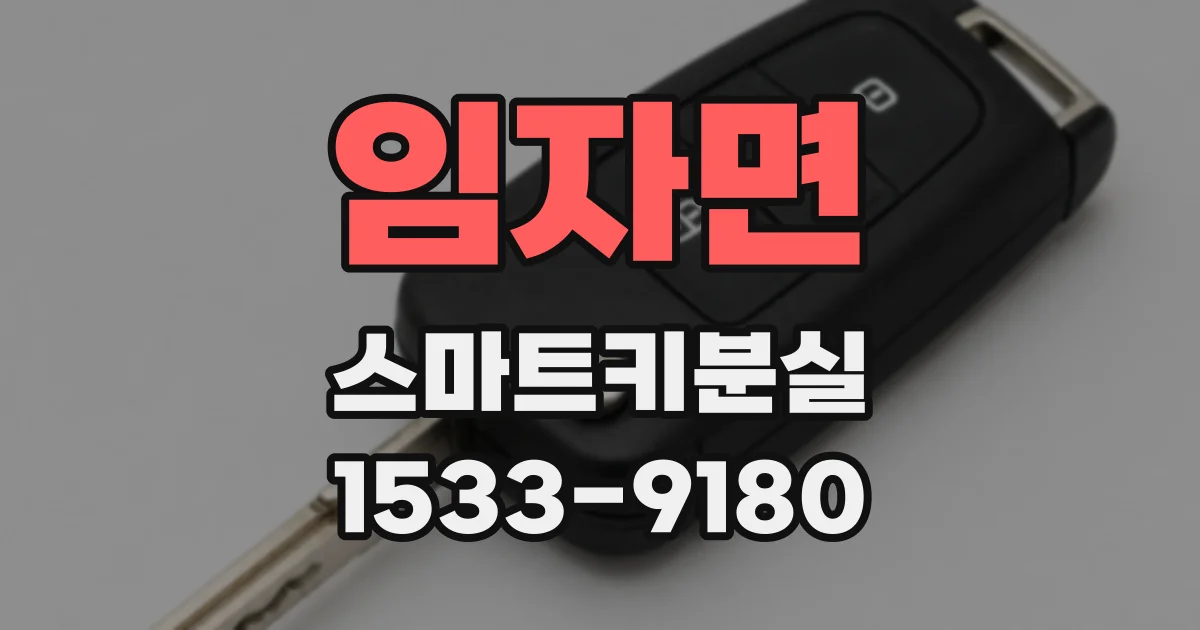 임자면 스마트키분실