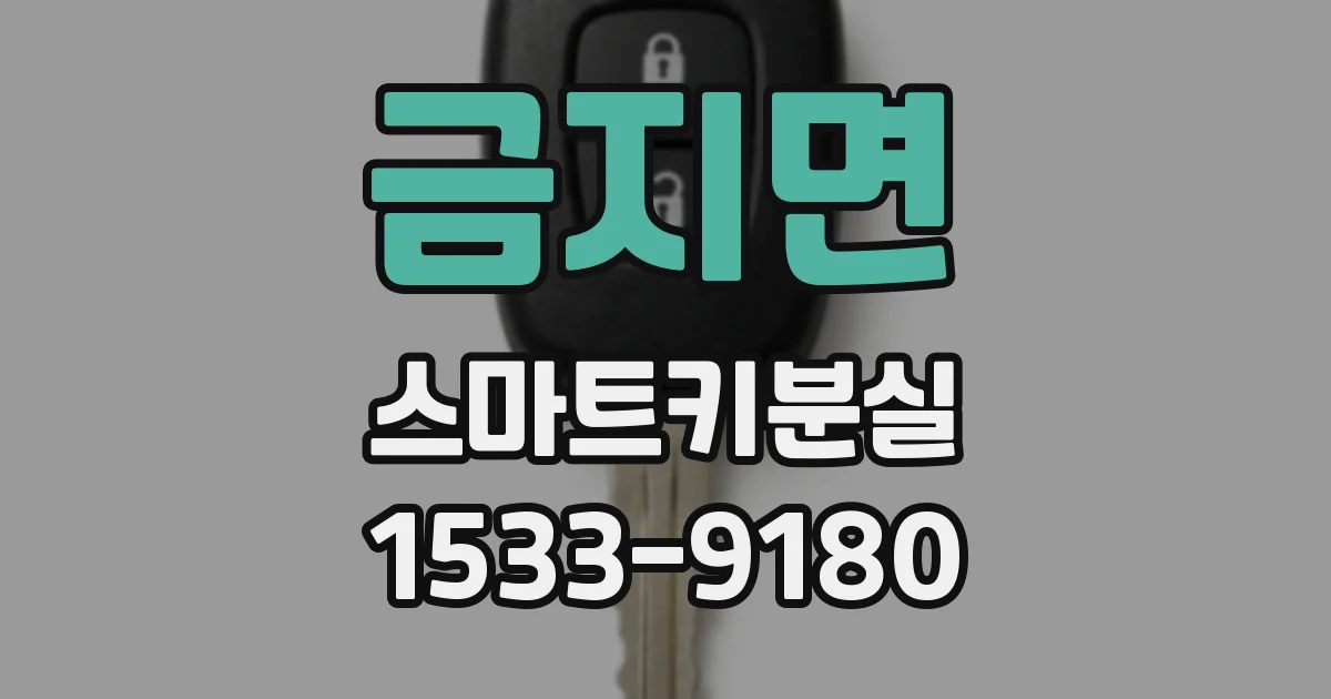 금지면 스마트키분실