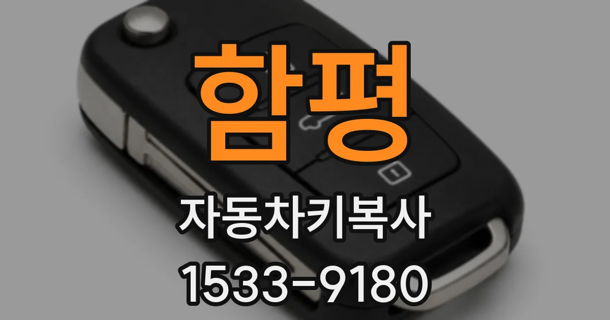 함평 자동차키복사