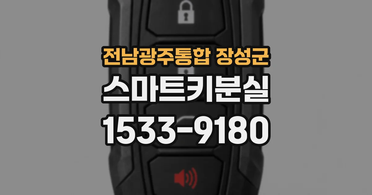 전남광주통합 장성군 스마트키분실