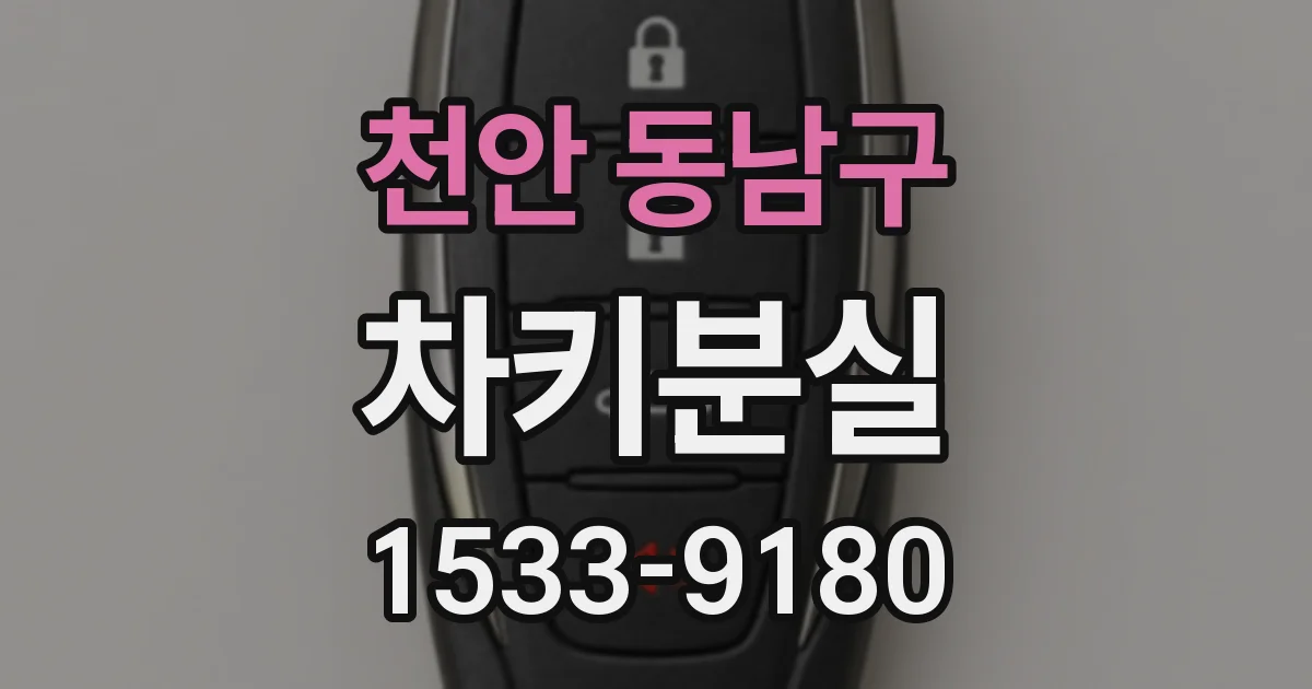 천안 동남구 차키분실
