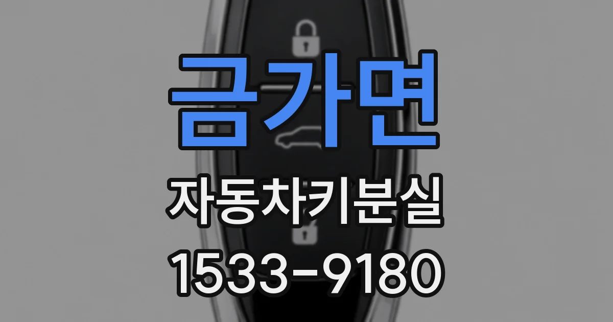 금가면 자동차키분실