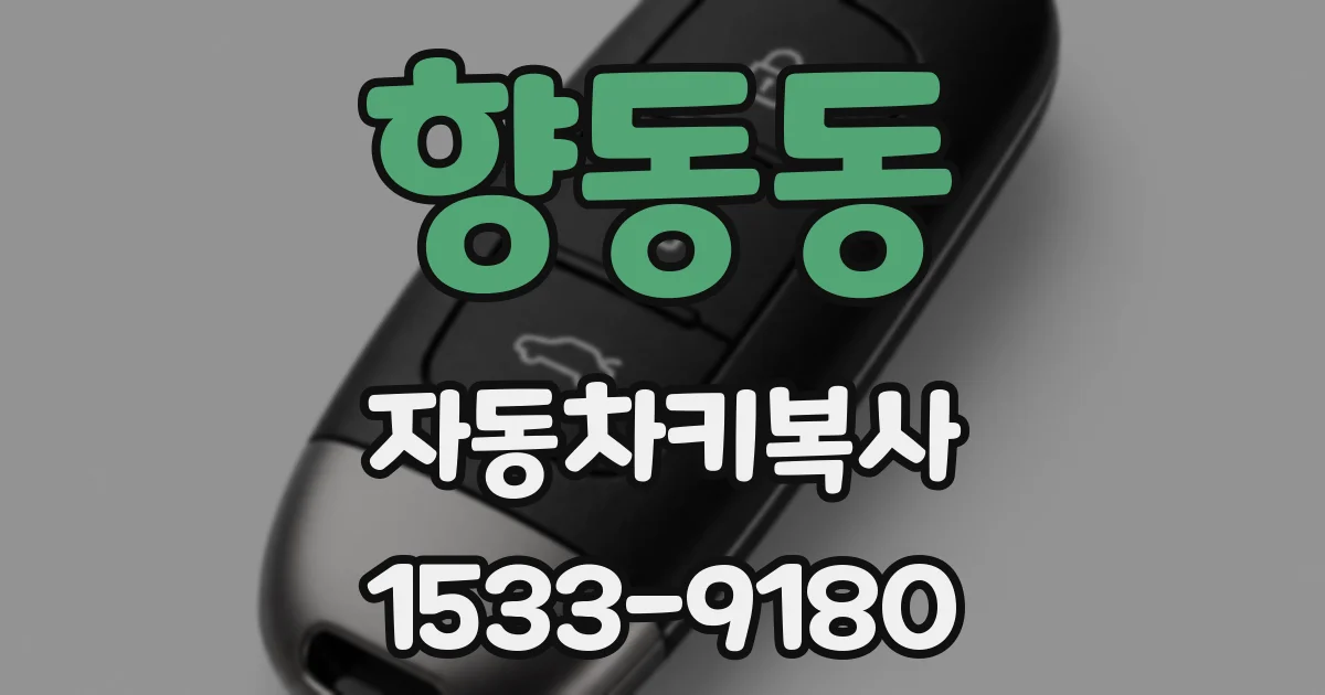 향동동 자동차키복사