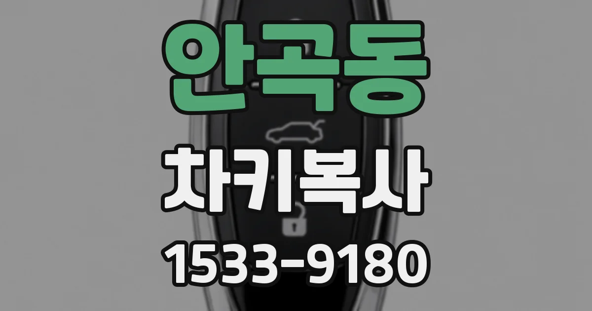 안곡동 차키복사