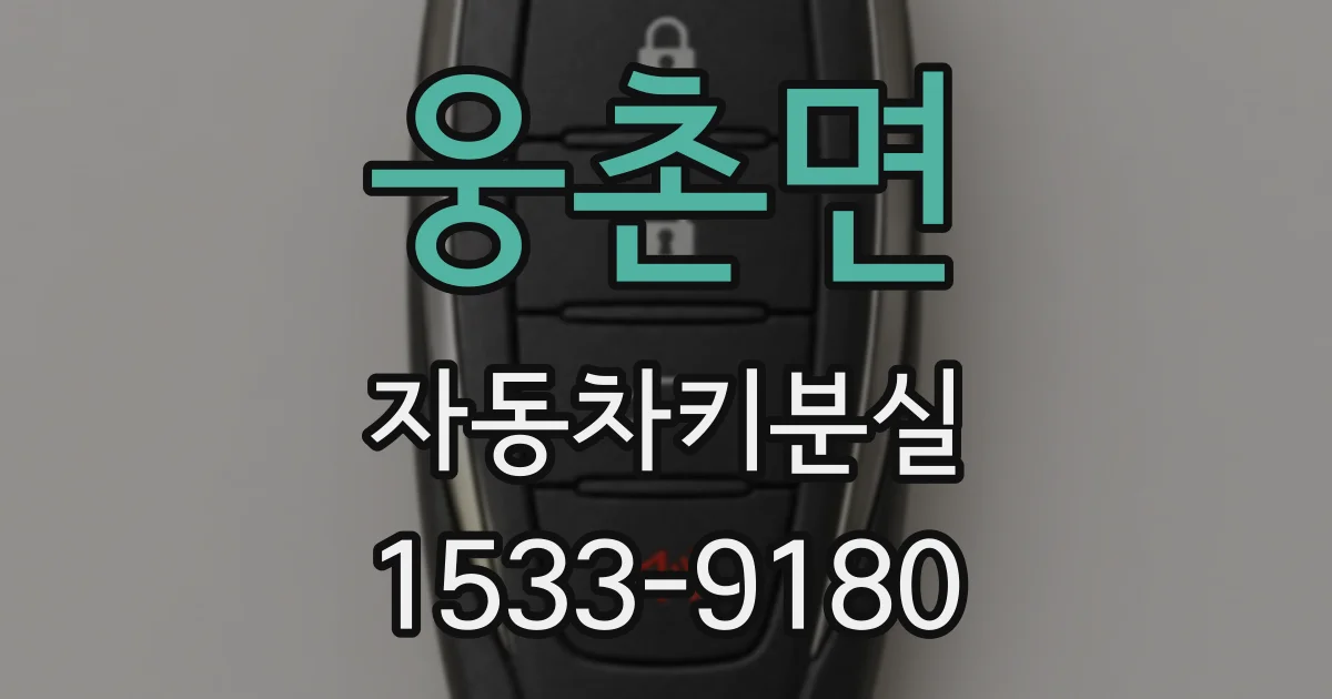 웅촌면 자동차키분실