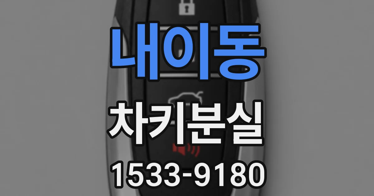 내이동 차키분실
