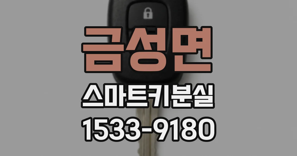 금성면 스마트키분실