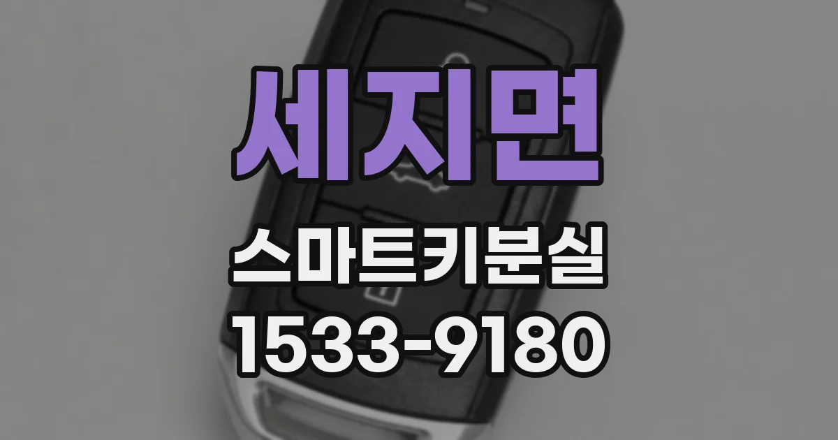 세지면 스마트키분실