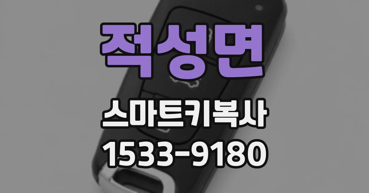 적성면 스마트키복사