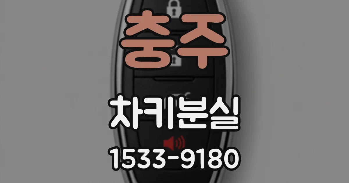 충주 차키분실